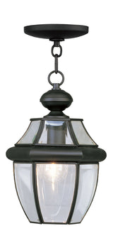 Livex Lighting 2152-04 Monterey 1-Light Outdoor Hanging Lantern, Black