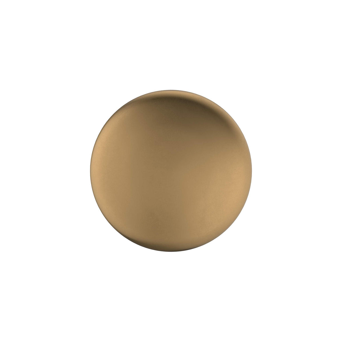 Amerock Cabinet Knob Champagne Bronze 1-1/4 inch (32 mm) Diameter Edona 1 Pack Drawer Knob Cabinet Hardware