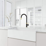 Bristol Single Handle Pull-Down Sprayer Kitchen Faucet in Matte Brushed Gold and Matte Black