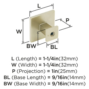 Amerock Cabinet Knob Golden Champagne 1-1/4 inch (32 mm) Length Appoint 1 Pack Drawer Knob Cabinet Hardware