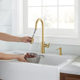 Gerber D454058BB Brushed Bronze Parma Cafe Single Handle Pull-down Kitchen Faucet