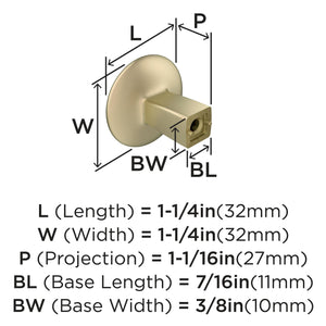 Amerock Cabinet Knob Golden Champagne 1-1/4 inch (32 mm) Diameter Riva 1 Pack Drawer Knob Cabinet Hardware