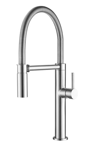 FRANKE PES-SPX-304 Pescara 22-inch Single Handle Semi-Pro Kitchen Faucet with Magnetic Sprayer Dock in Stainless Steel In Stainless Steel