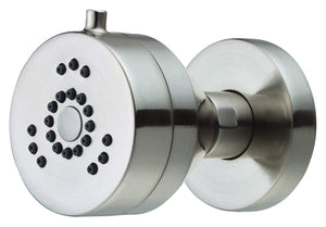 Gerber D460258BN Brushed Nickel Parma Two Function Wall Mount Body Spray