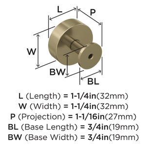 Amerock Cabinet Knob |Golden Champagne 1-1/4 in (32 mm) Diameter Drawer Knob Radius Kitchen and Bath Hardware Furniture Hardware