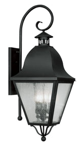 Livex Lighting 2558-04 Outdoor Wall Lantern with Seeded Glass Shades, Black