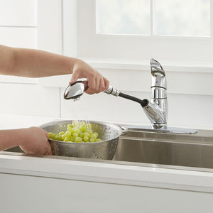 Gerber G0040266SS Stainless Steel Viper Single Handle Pull-out Kitchen Faucet
