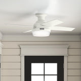 Hunter Fan Dempsey Low Profile Ceiling Fans with Lights and Remote, Flush Mount Ceiling Fan with Lights, Metal, Brushed Nickel Finish, 44 Inch LED