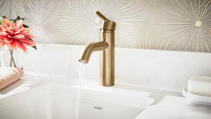 Gerber D225258BB Parma Single Handle Bathroom Faucet With Metal Pop-up Drain - BR...