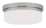 Livex Lighting 7391-05 Isis 2 Light Ceiling Mount or Wall Mount, Chrome