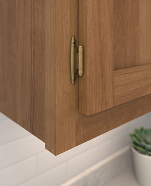 Amerock Cabinet Hinge 3/8 inch (10 mm) Inset Hinge Burnished Brass 2 Pack Self-Closing Hinge Face Mount Hinge Cabinet Door Hinge