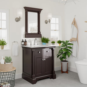 Eviva Preston 24" x 29" Rectangular Aged Chocolate Solid Wood Framed Mirror
