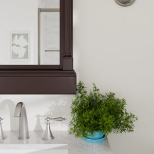 Eviva Preston 24" x 29" Rectangular Aged Chocolate Solid Wood Framed Mirror