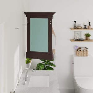 Eviva Preston 24" x 29" Rectangular Aged Chocolate Solid Wood Framed Mirror