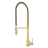 Brislin 1-Handle Pull-Down Kitchen Faucet in Brushed Gold