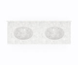 Swanstone CH2B2273 Chesapeake 22 x 73 Double Bowl Vanity Top in Ice CH022732B.130