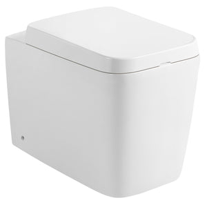 DAX Ceramic Wall-Hung Toilet, White BSN-CL11002A