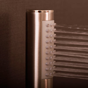 DAX Brass Round Handheld Shower, Chrome DAX-520