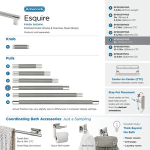 Amerock BP36562PNSS Esquire Cabinet Pull, 8in (203mm) Center-to-Center, Polished Nickel/Stainless Steel