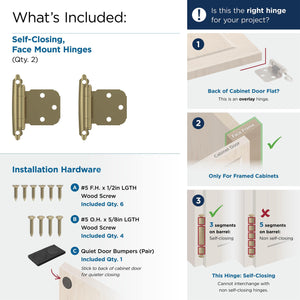 Amerock BPR7629BBZ Face Frame Cabinet Hinge Variable Overlay Self Closing Face Mount Golden Champagne Kitchen Cabinet Door Hinge 1 Pair/2 Pack Functional Hardware
