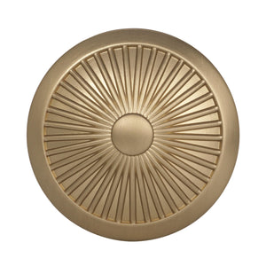 Amerock Cabinet Knob Golden Champagne 1-3/8 inch (35 mm) Diameter Crawford 1 Pack Drawer Knob Cabinet Hardware