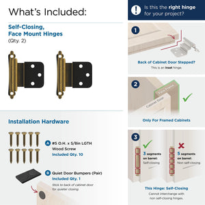 Amerock Cabinet Hinge 3/8 inch (10 mm) Inset Hinge Antique Brass 2 Pack Self-Closing Hinge Face Mount Hinge Cabinet Door Hinge