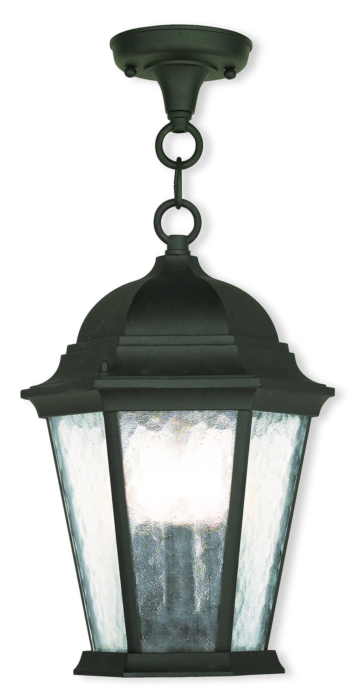 Livex Lighting 75469-14 Textured Black Outdoor Semi-Flush Mount with Clear Water Glass