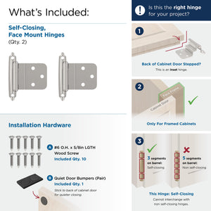 Amerock Cabinet Hinge 3/8 inch (10 mm) Inset Hinge Polished Chrome 2 Pack Self-Closing Hinge Face Mount Hinge Cabinet Door Hinge