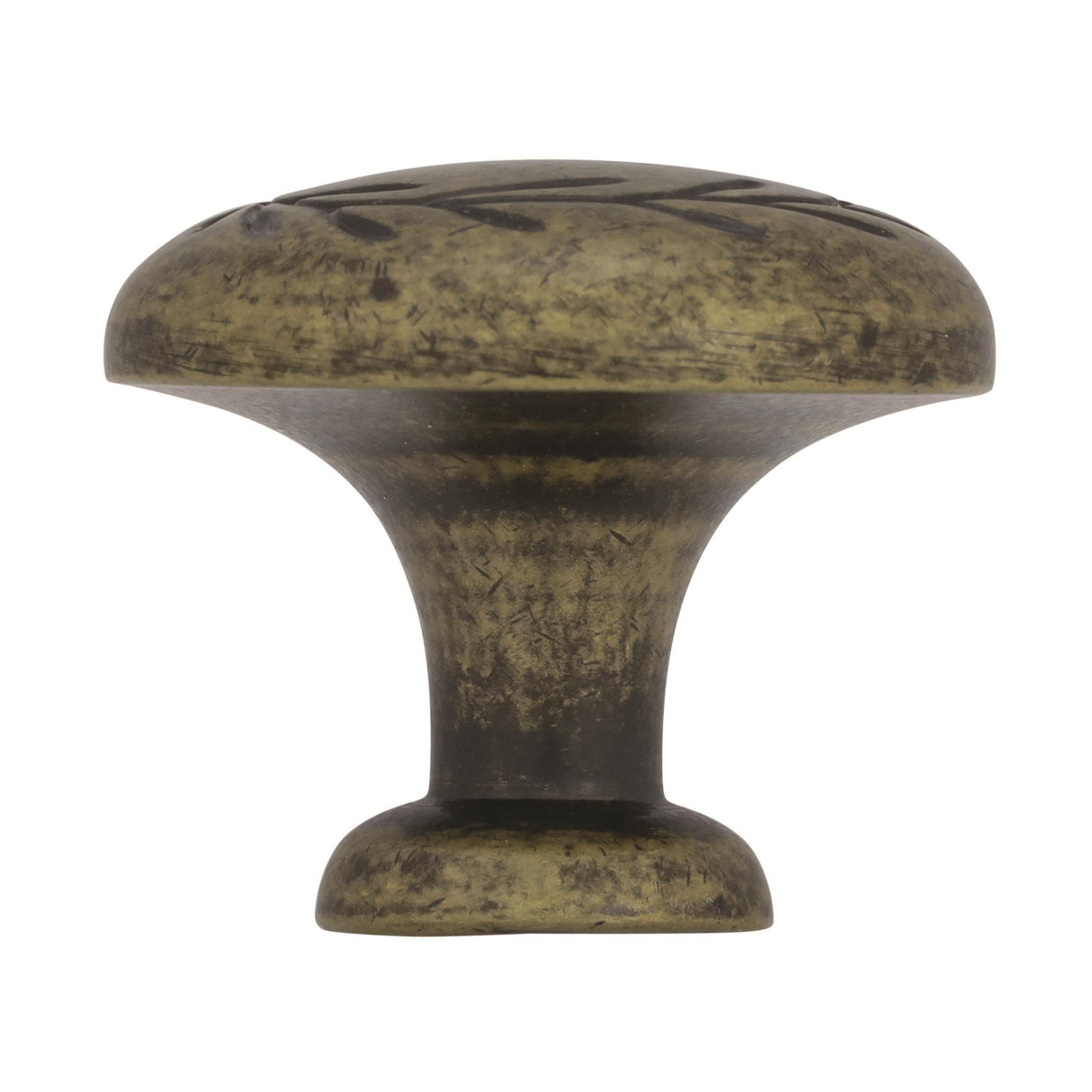 Amerock Cabinet Knob Elegant Brass 1-5/16 inch (33 mm) Diameter Nature'S Splendor 1 Pack Drawer Knob Cabinet Hardware