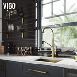 VIGO VG02027MGK1 24" H Livingston Magnetic Single-Handle with Pull-Down Sprayer Kitchen Faucet with Deck Plate in Matte Gold