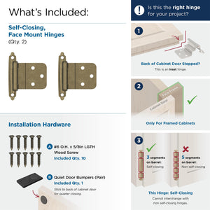 Amerock Cabinet Hinge 3/8 inch (10 mm) Inset Hinge Burnished Brass 2 Pack Self-Closing Hinge Face Mount Hinge Cabinet Door Hinge