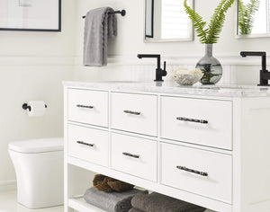 Amerock BP36648MBKPN Carrione Cabinet Pull, 3-3/4 in (96 mm) Center-to-Center, Marble Black/Polished Nickel