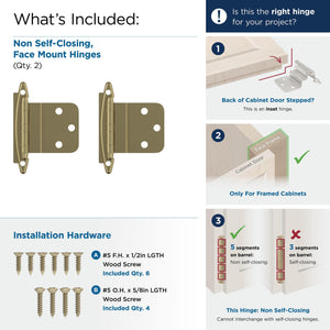 Amerock BPR3417BBZ Cabinet Hinge| 3/8 in (10 mm) Inset Non-Self Closing Face Mount Golden Champagne Kitchen Cabinet Door Hinge 1 Pair/2 Pack Functional Hardware