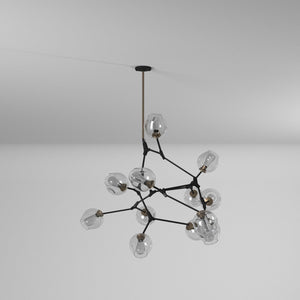 Organic Chandelier
