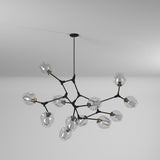 Organic Chandelier