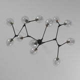 Organic Chandelier