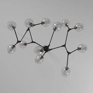 Organic Chandelier