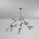 Organic Chandelier