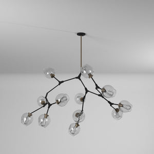 Organic Chandelier
