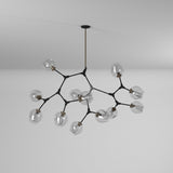 Organic Chandelier