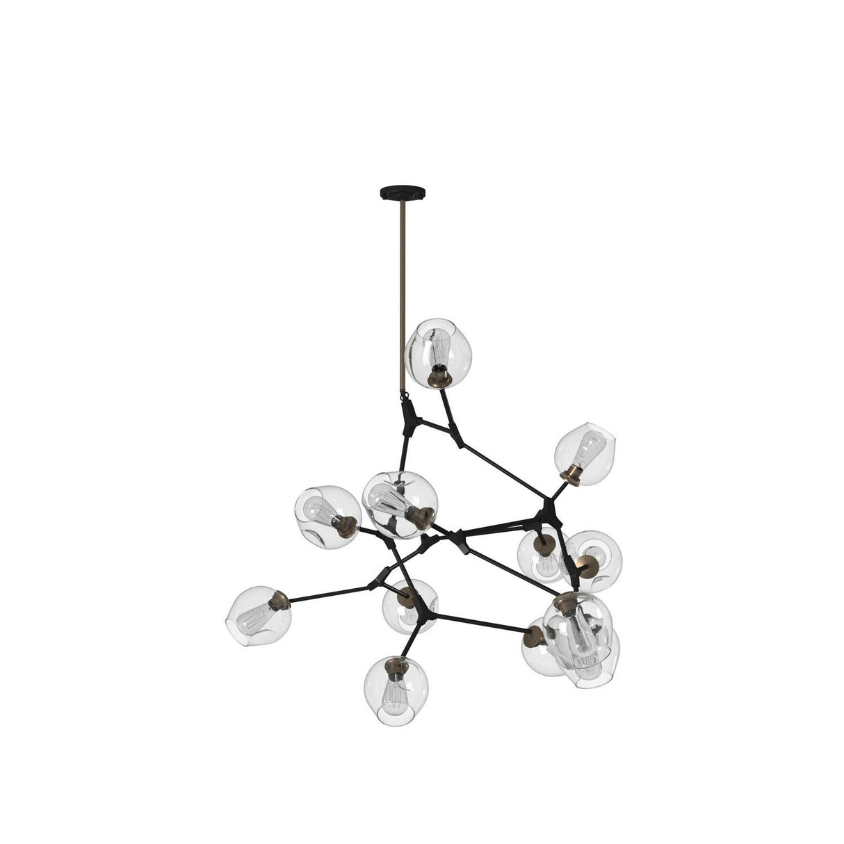 Organic Chandelier
