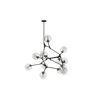 Organic Chandelier