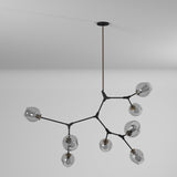 Organic Chandelier