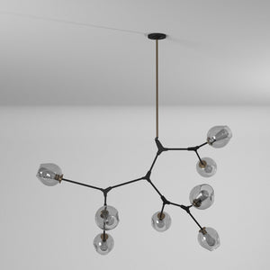 Organic Chandelier