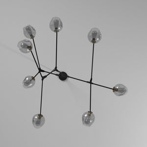 Organic Chandelier