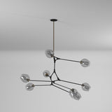 Organic Chandelier
