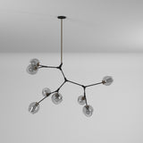 Organic Chandelier