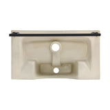 Claire 22" Wall-Mount Bathroom Sink with Black Towel Bar