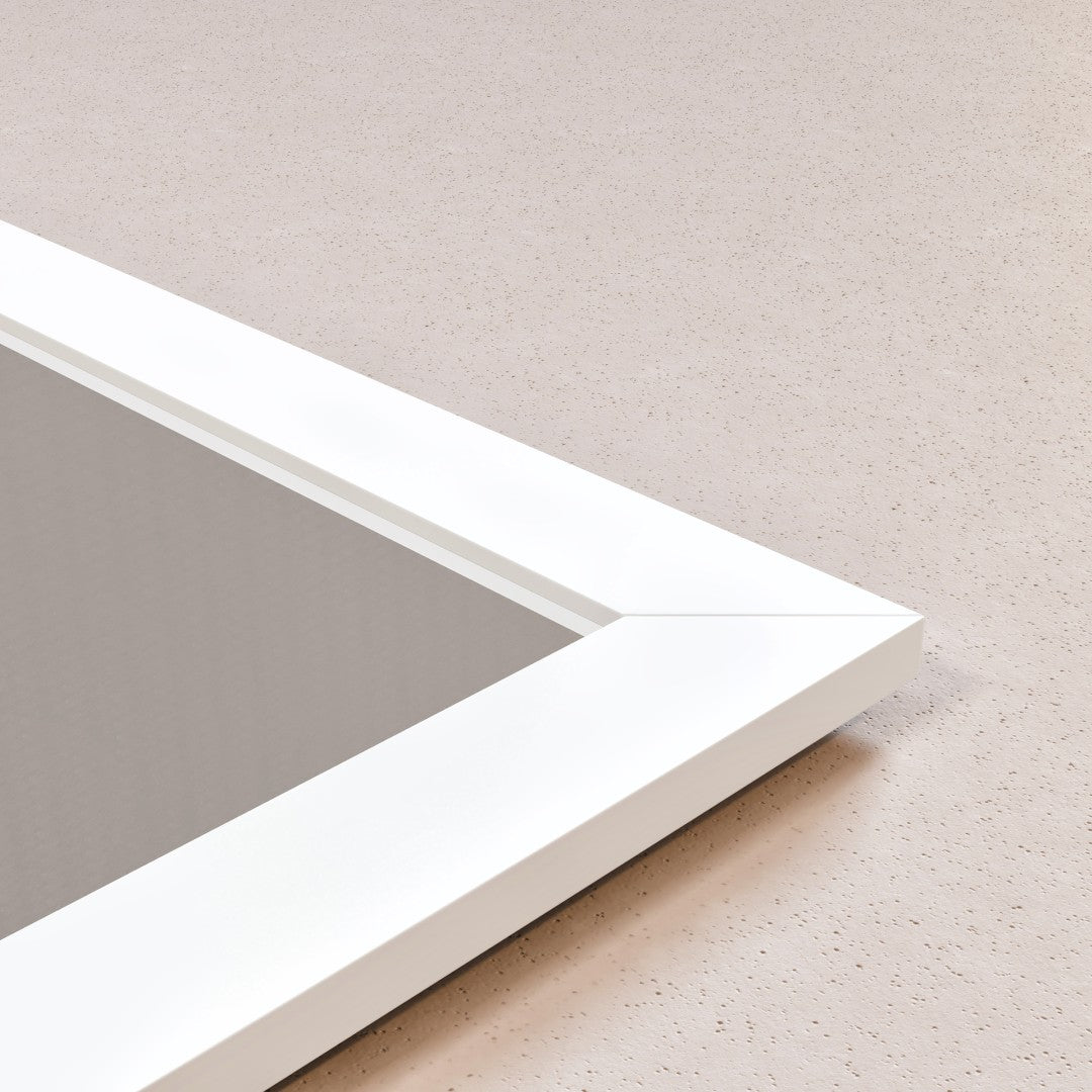Eviva New York 60" x 30" Rectangular White Wooden Framed Mirror