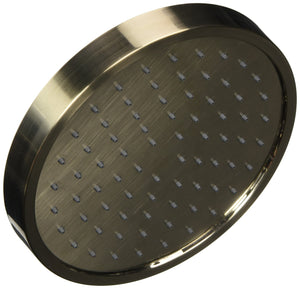 Contempra Single Function Raincan Showerhead in Brushed Nickel